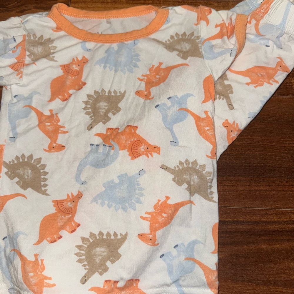 Dinosaur Print Baby Onesie